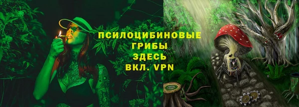 apvp Балахна