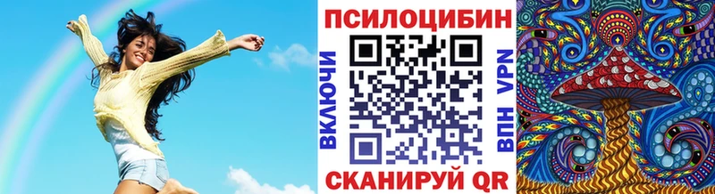 цены наркотик  Николаевск  Галлюциногенные грибы Psilocybe 